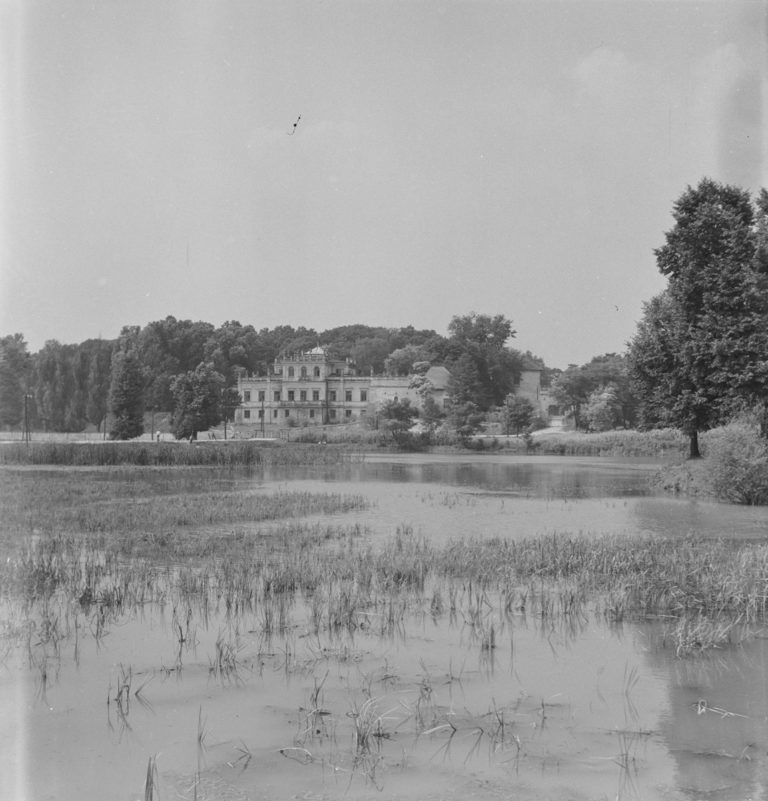 View of the palace from the pond