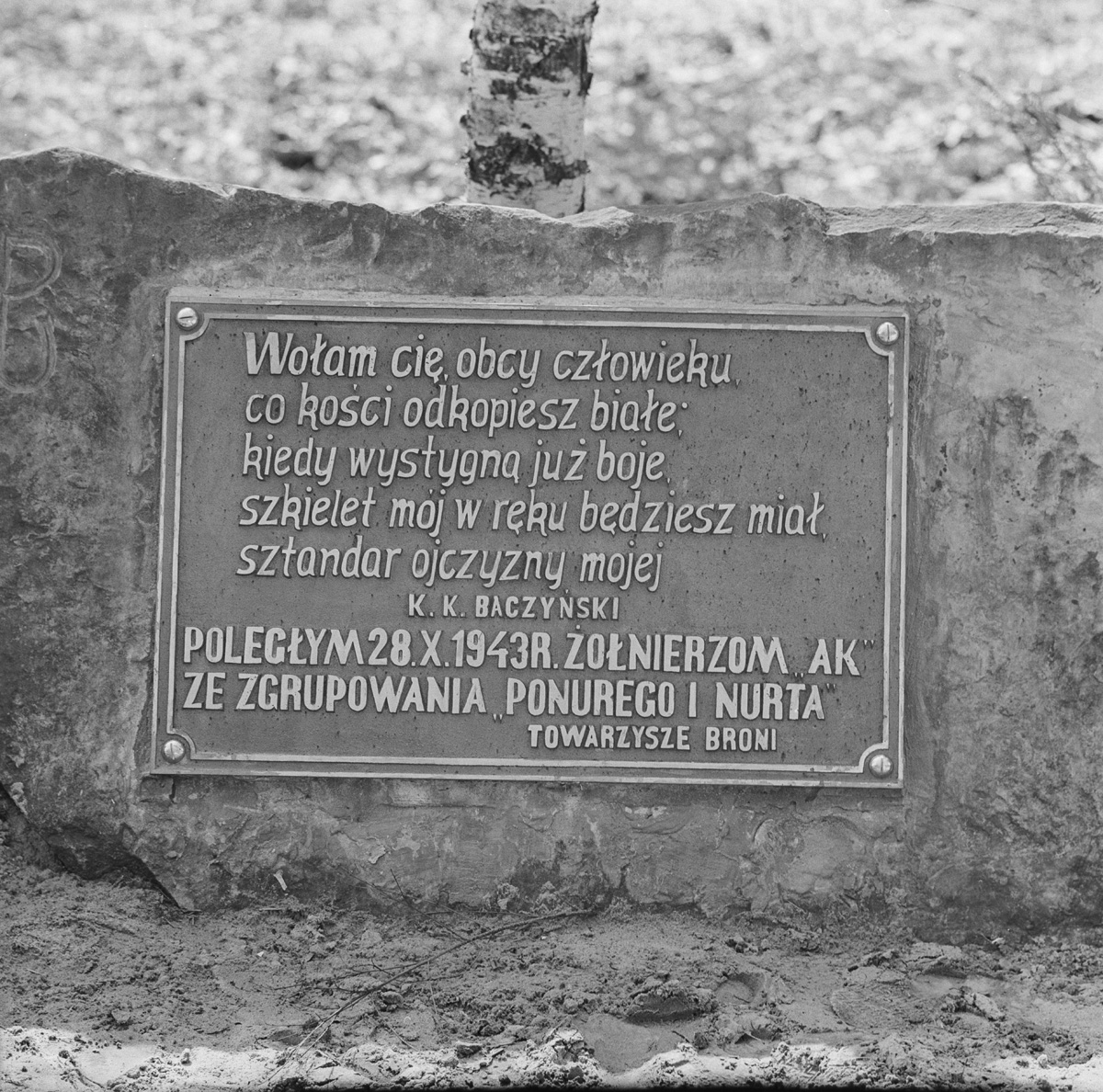Grave of Andrzej Różycki “Zjawa”