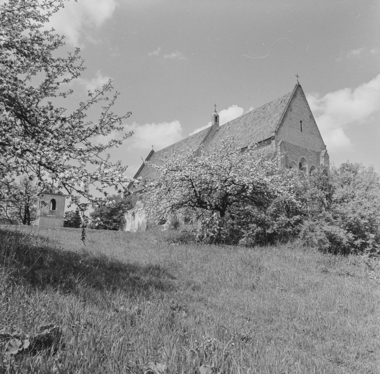 Zawichost  – kościół parafialny