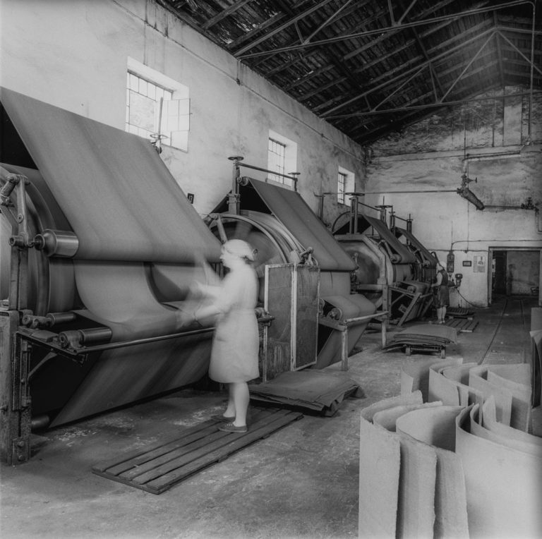 Paper mill (Cardboard Plant)