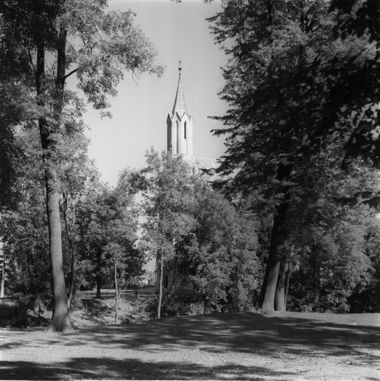 Church tower from behind trees