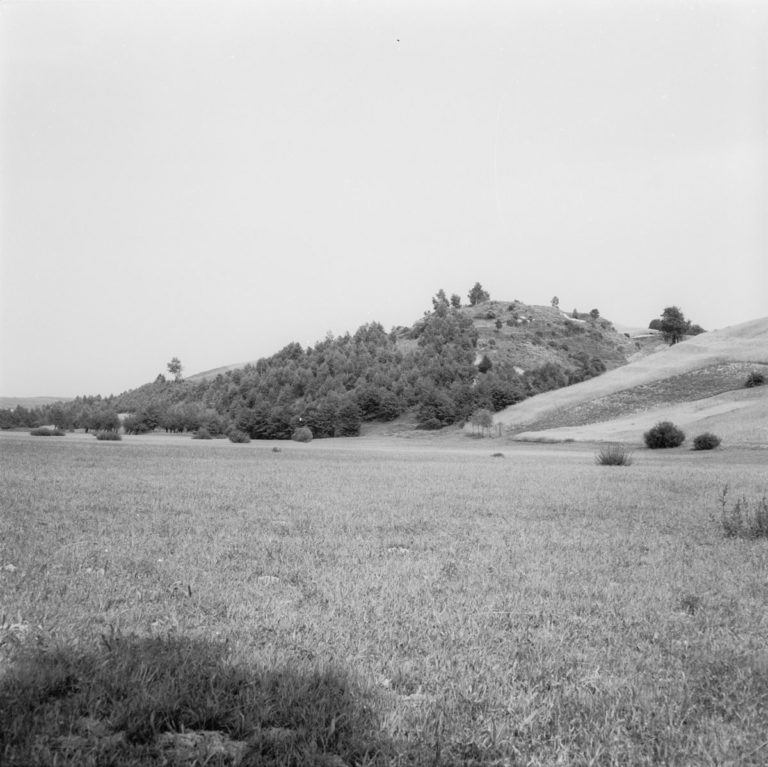 Castle hill