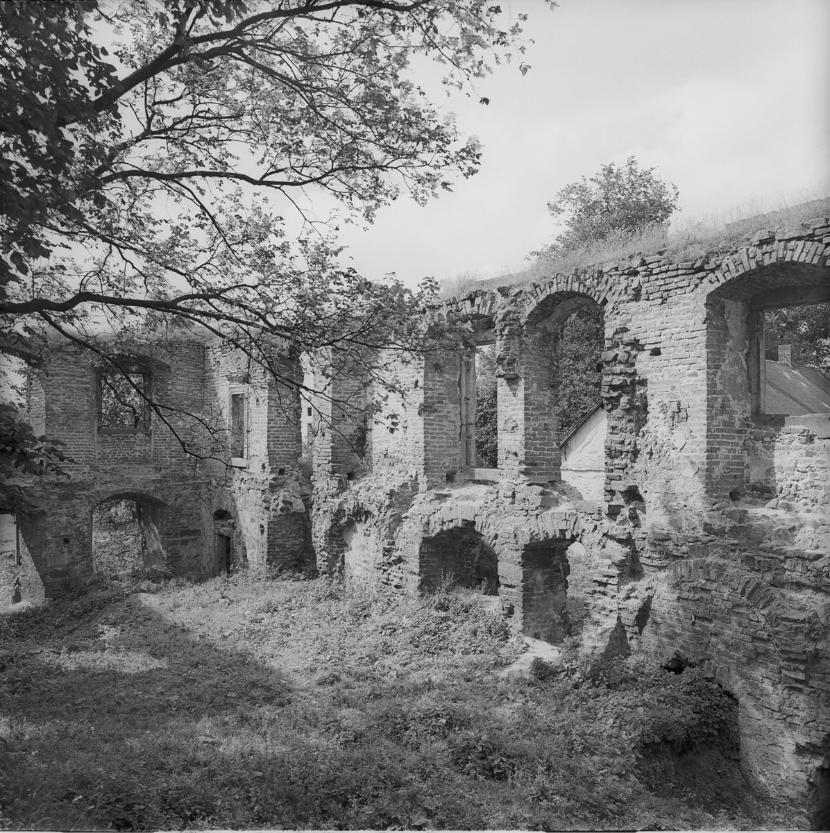 Ruins of the castle