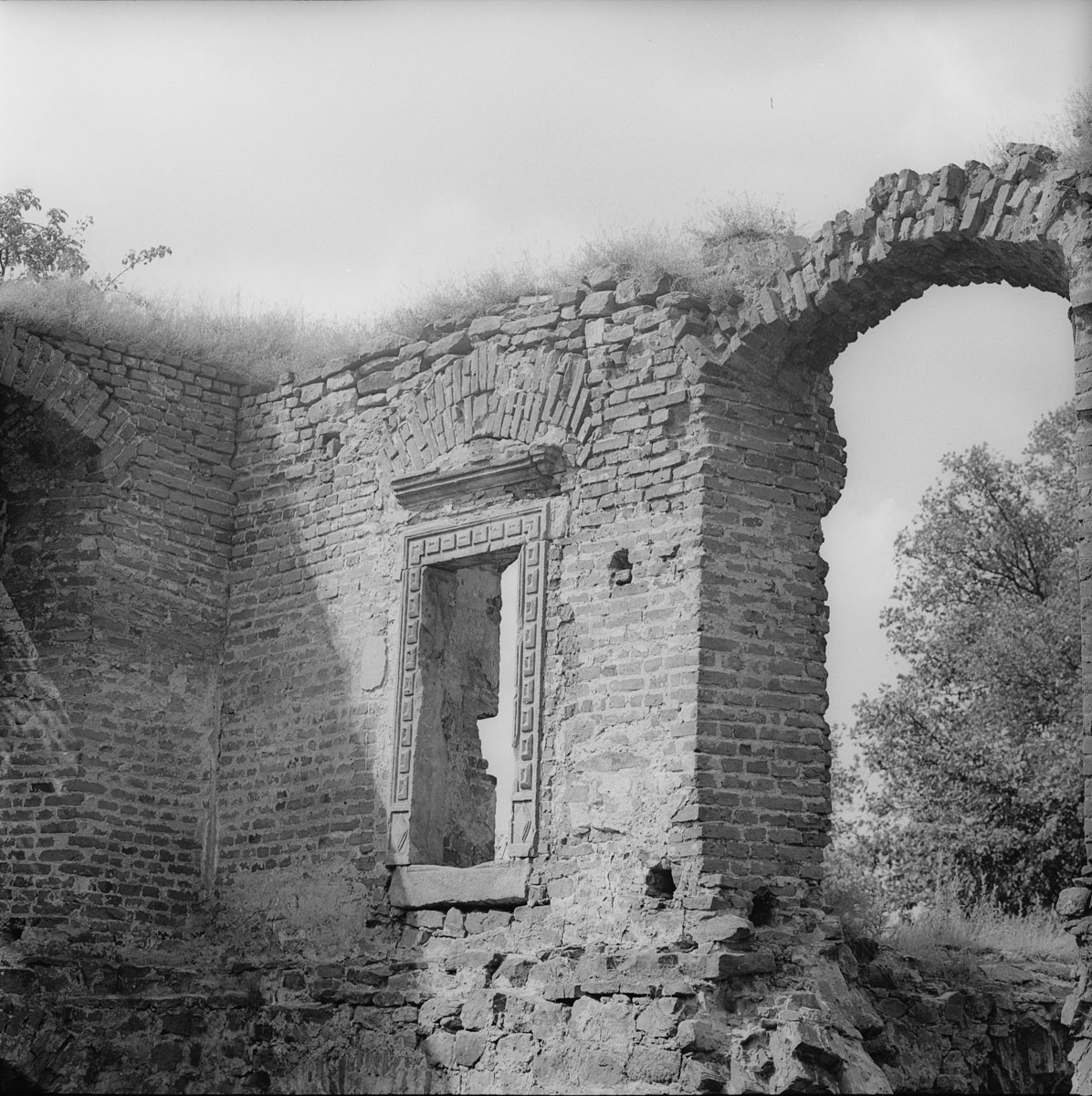 Ruins of the castle