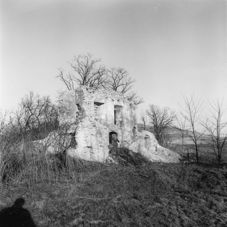 Ruiny dworu