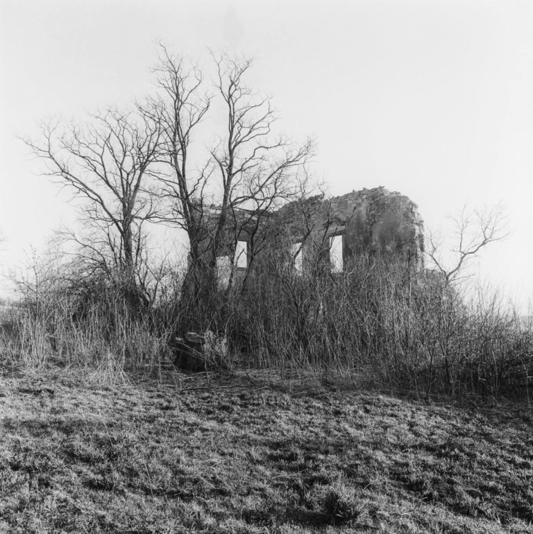 Manor house ruins