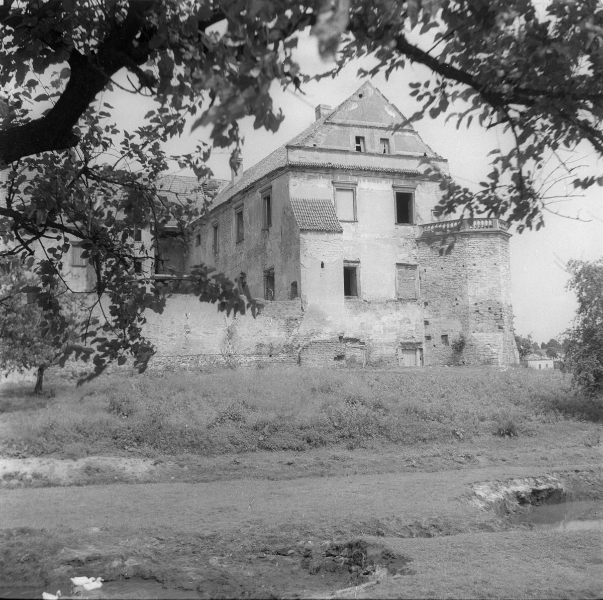 Castle – view from road ditch