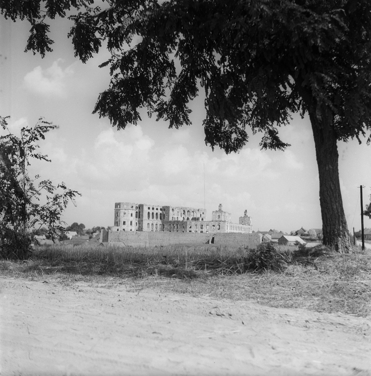Castle – view from the road under a tree
