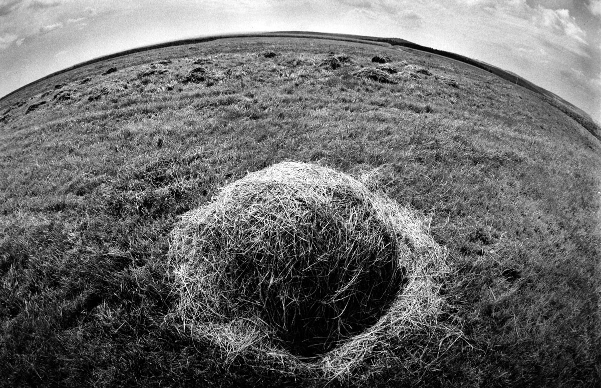 Mound of hay
