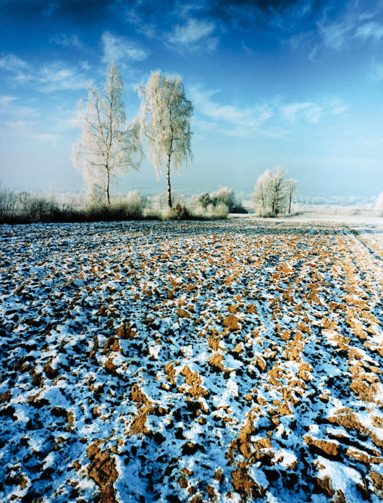 Winter in Samsonów
