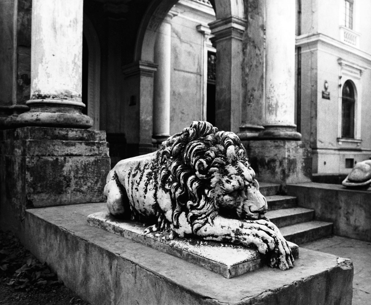 Lew przed pałacem w Bałtowie