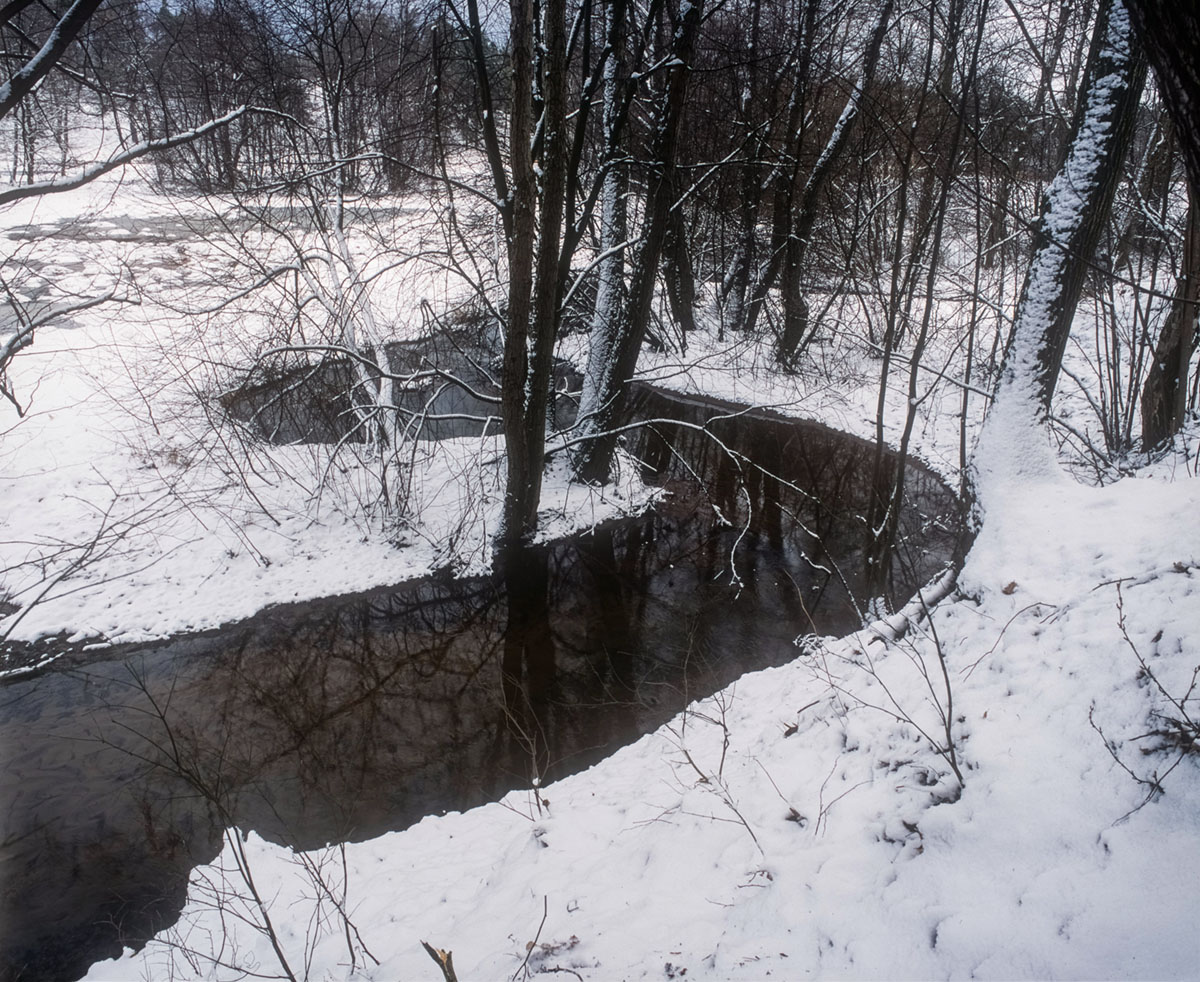 The River Bobrza Zagnańsk near Bartek Oak